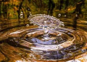 Cuánto pesa el agua