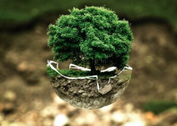 Arbol en capsula de cristal