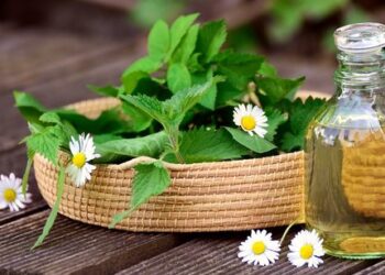 Natur & Pharma: los mejores remedios naturales en el mercado online