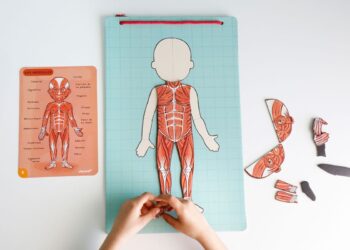 ¡Aprende anatomía de una manera divertida con estos juegos para niños!