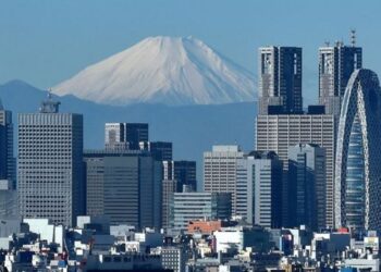Las grandes ciudades son una enorme salvajada