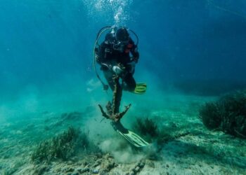 Ojos científicos bajo el mar, cuenta con buzos técnicos