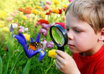 Descubre cómo fomentar la curiosidad en tus hijos desde temprana edad