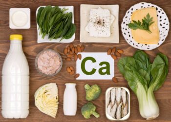 Todo lo que debes saber sobre los alimentos altos en calcio para una dieta saludable