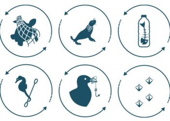 Día Mundial del Medio Ambiente