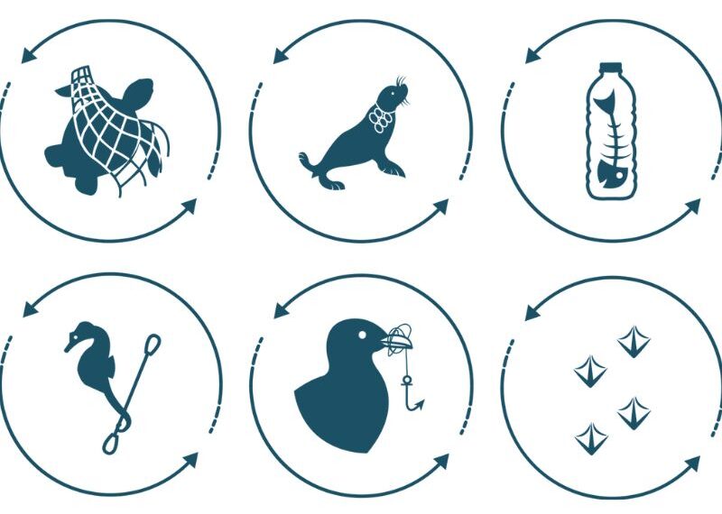 Día Mundial del Medio Ambiente