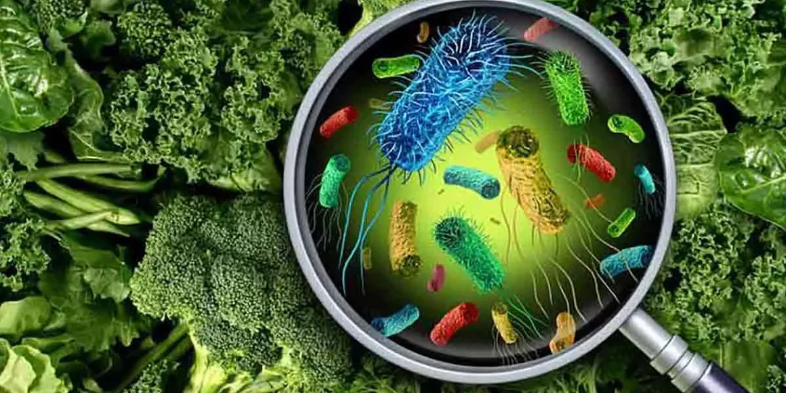 listeria-en-verduras