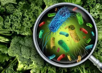 listeria-en-verduras