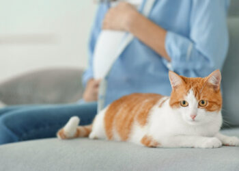 toxoplasmosis