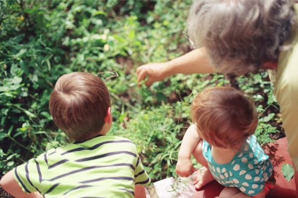 Abuela con nietos viendo plantas