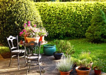 jardin