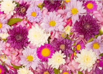 Aprende a decirlo con flores: serás más interesante, original y más querido