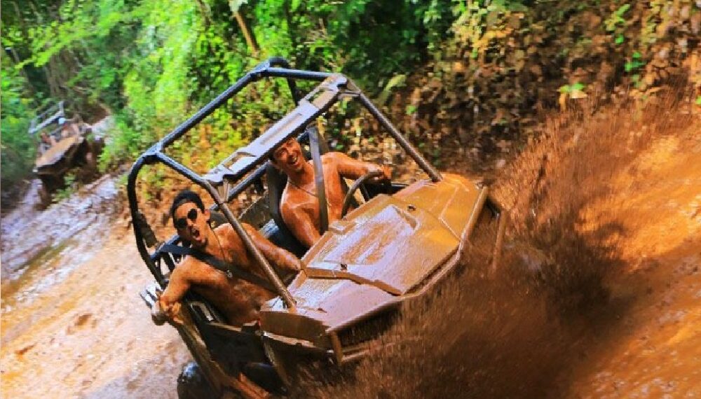selvatica