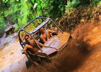 selvatica