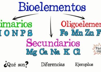Bioelementos, pueden ser unicelulares o pluricelulares