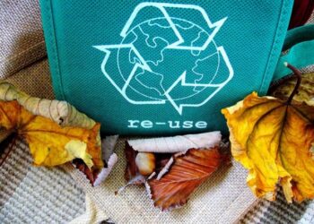 Ecolana: una alternativa que protege el ambiente