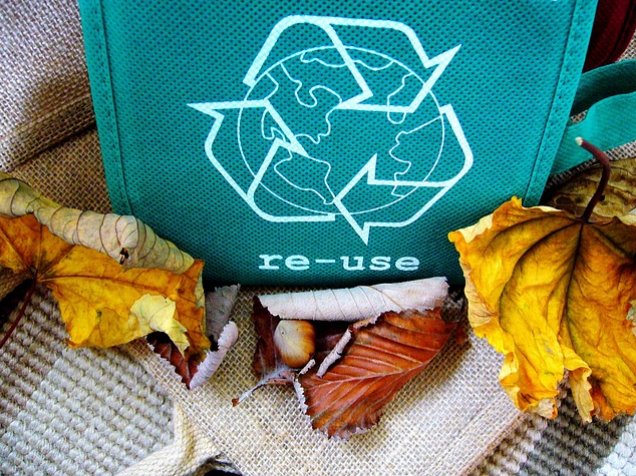 Ecolana: una alternativa que protege el ambiente