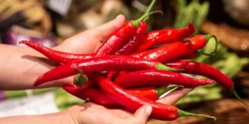 Las mejores recetas de chiles en rajas: un acompañamiento versátil y delicioso