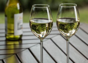 Guía Definitiva para Comprar Vino Blanco: Selecciones Top y Consejos Expertos