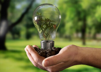 Cómo crear un plan de eficiencia energética en tu empresa