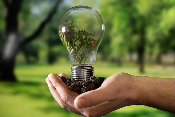 Cómo crear un plan de eficiencia energética en tu empresa