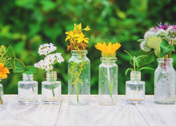 Beneficios de las Flores de Bach en el manejo del estrés diario