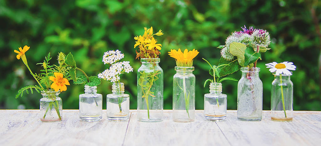 Beneficios de las Flores de Bach en el manejo del estrés diario