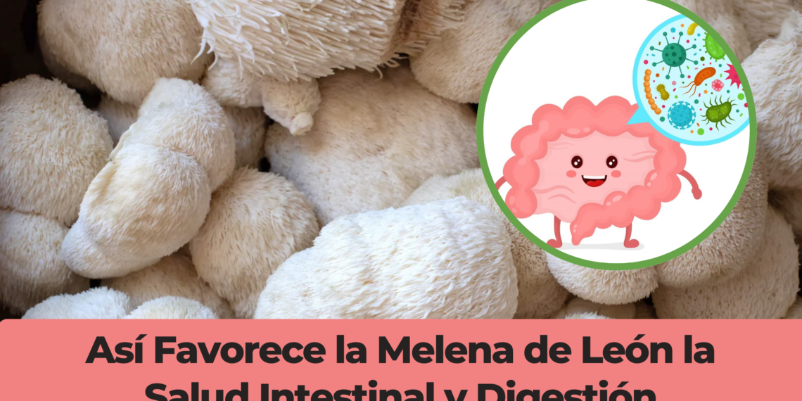 Así Favorece la Melena de León la Salud Intestinal y Digestión