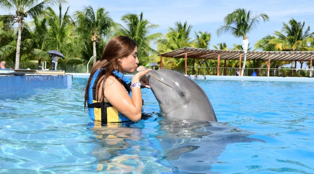Sumérgete con Delfines en Playa del Carmen