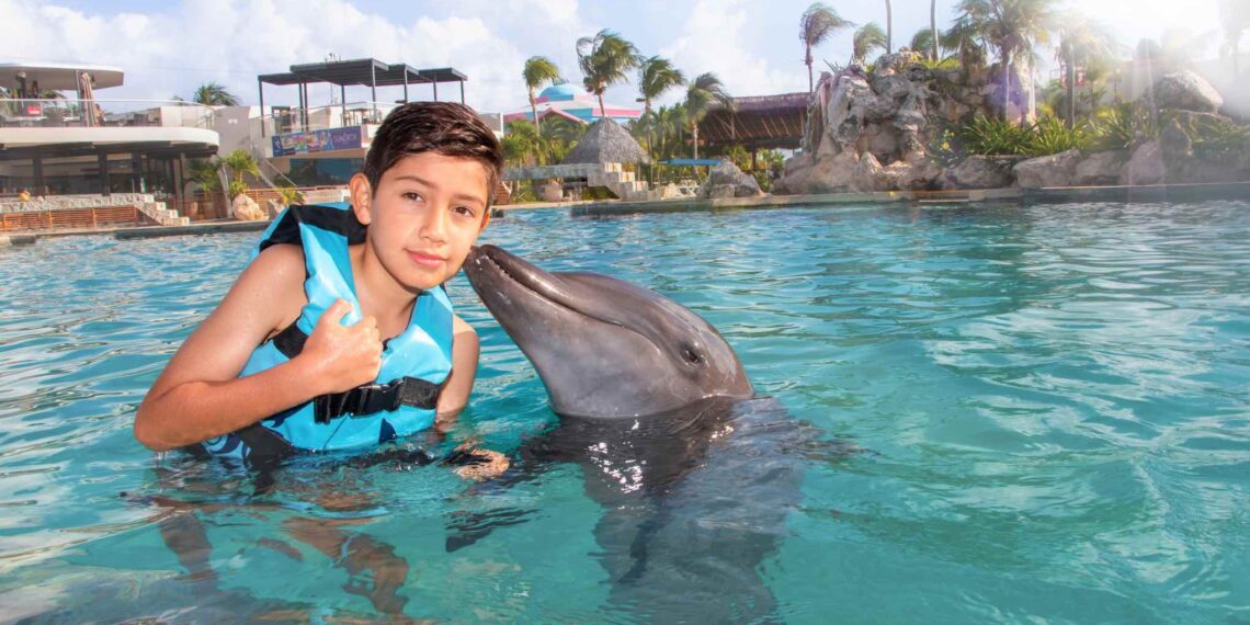 Reserva tu Aventura: Nadar con Delfines en Cancún con la Mejor Experiencia