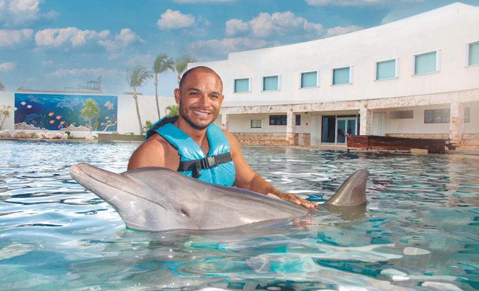 Nadar con Delfines en Cancún: La Actividad Imperdible en la Zona Hotelera