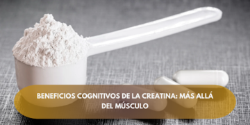 Beneficios cognitivos de la creatina: más allá del músculo
