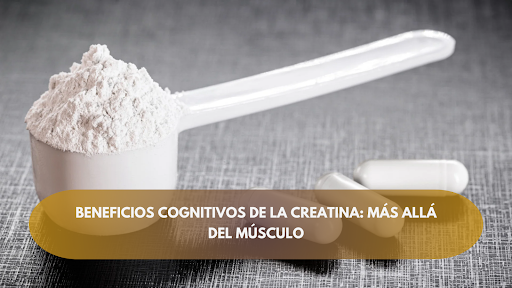 Beneficios cognitivos de la creatina: más allá del músculo