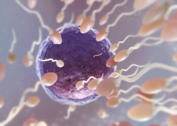 ¿Por qué elegir Fertilab Donantes? El camino hacia el sueño de muchas familias